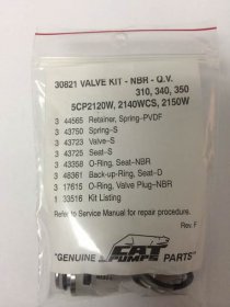 Cat Pump 30821 Valve Kit